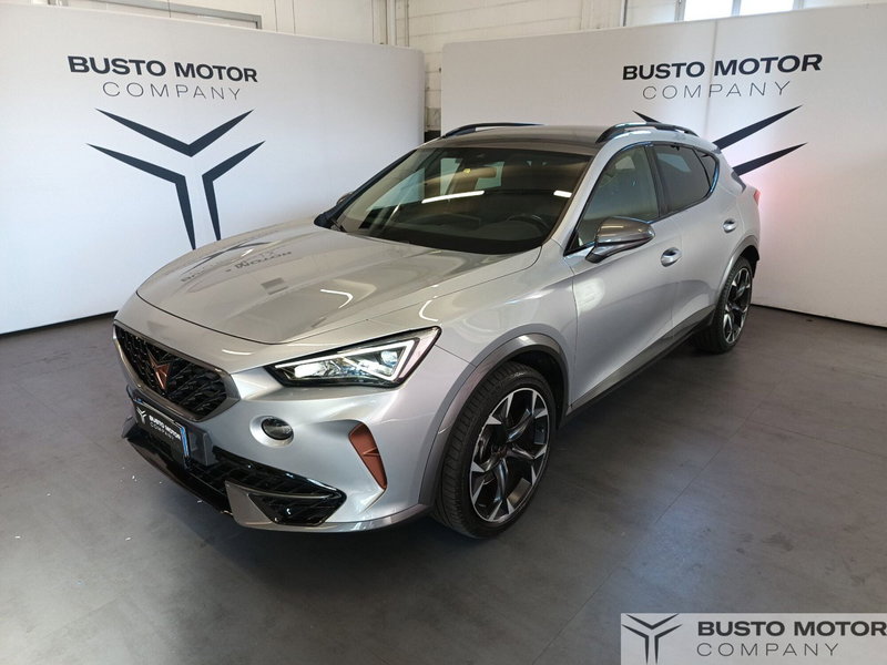Cupra Formentor usata a Varese (3)