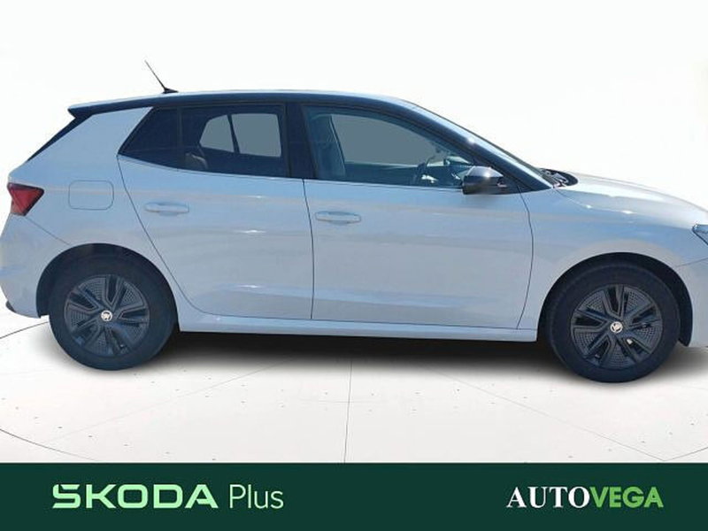 Skoda Fabia usata a Vicenza (3)