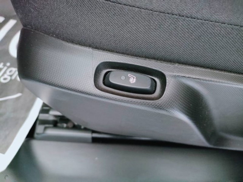 smart forfour usata a Teramo (18)