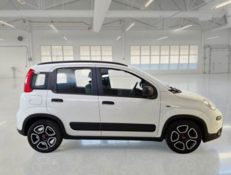Fiat Panda usata a Catania (3)