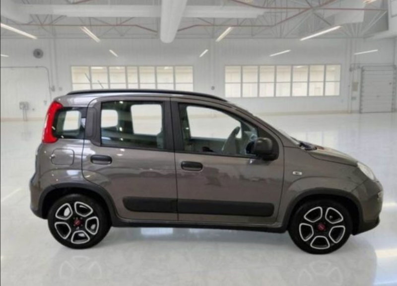 Fiat Panda usata a Catania (3)