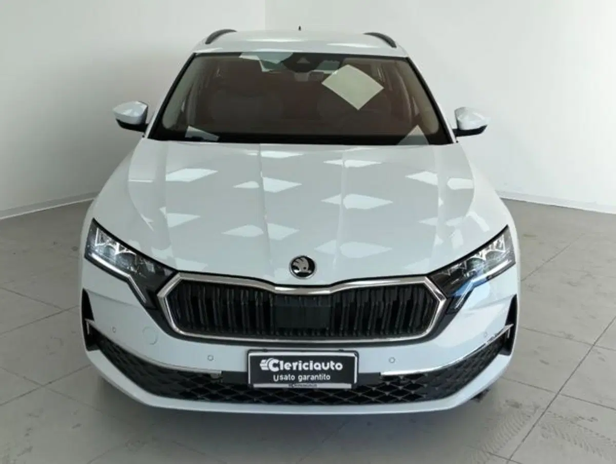 Skoda Octavia Station Wagon usata a Como (6)