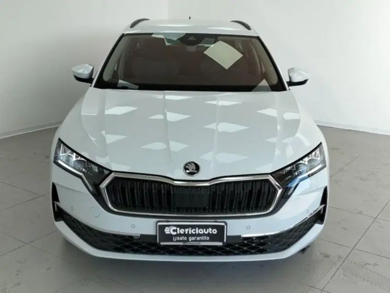 Skoda Octavia Station Wagon usata a Como (6)