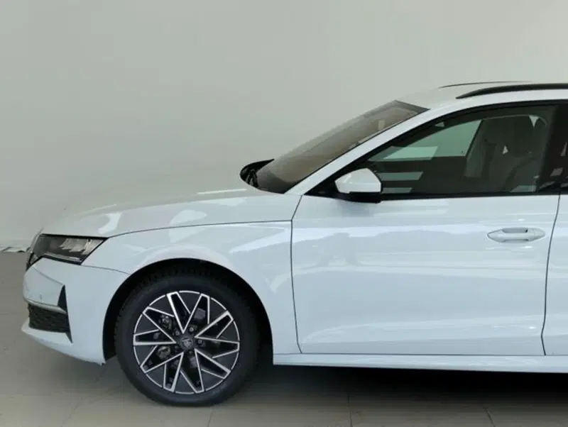 Skoda Octavia Station Wagon usata a Como (9)