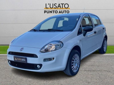 Fiat Punto 1.4 8V 5 porte Natural Power Street del 2018 usata a Ancona