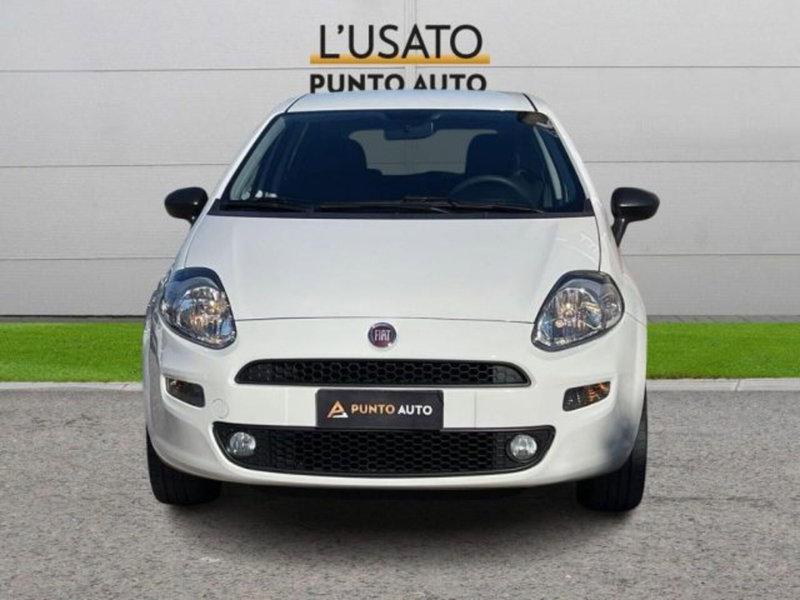 Fiat Punto usata a Ancona (2)