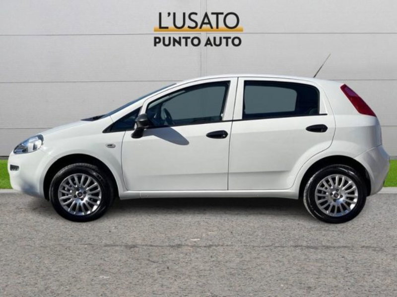 Fiat Punto usata a Ancona (4)