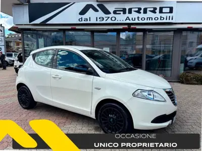 Lancia Ypsilon 1.2 69 CV 5 porte Elefantino del 2014 usata a Boves