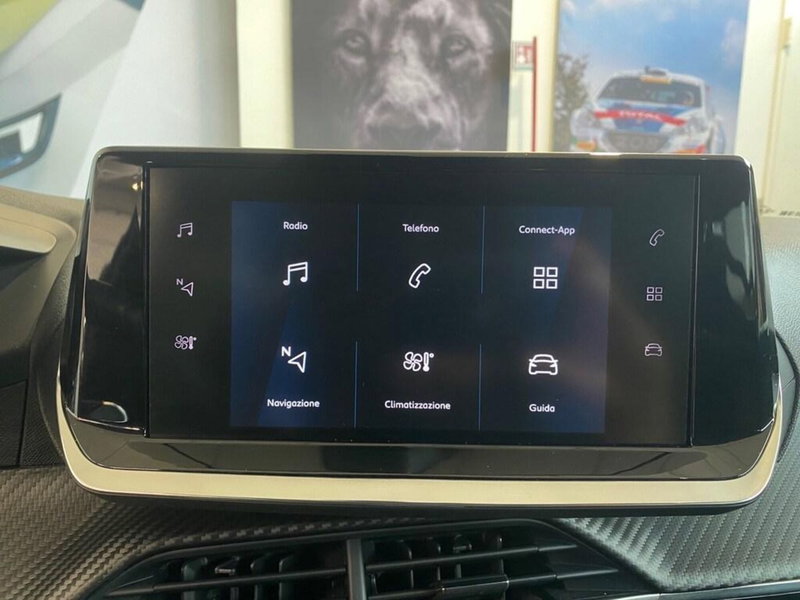 Peugeot 208 usata a Torino (10)