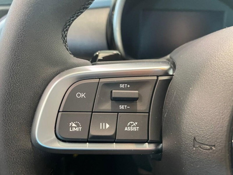 Fiat 600 nuova a Torino (13)