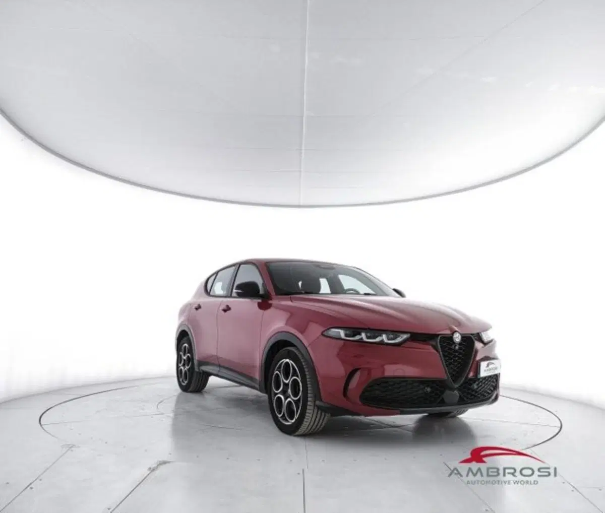 Alfa Romeo Tonale usata a Perugia (2)