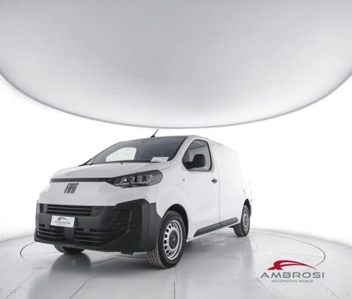 Fiat Scudo Furgone usata a Perugia