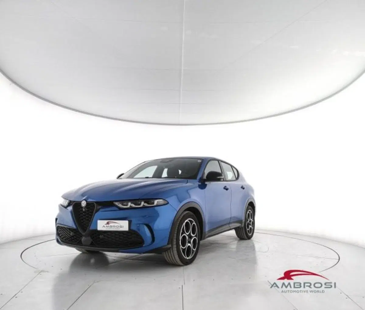 Alfa Romeo Tonale usata a Perugia
