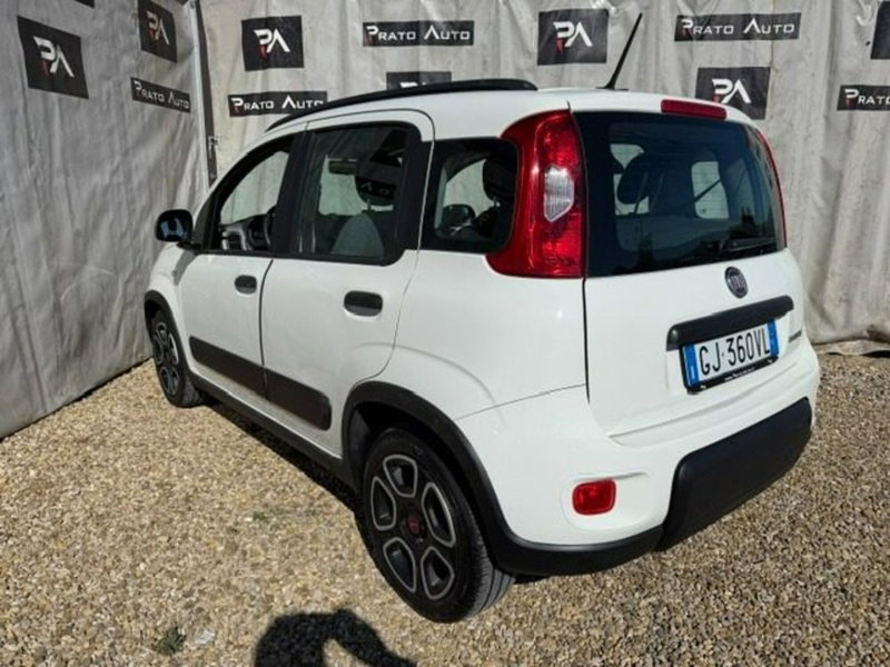 Fiat Panda usata a Prato (2)
