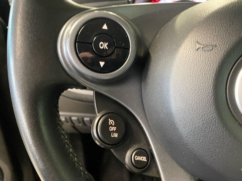 smart Fortwo usata a Torino (13)