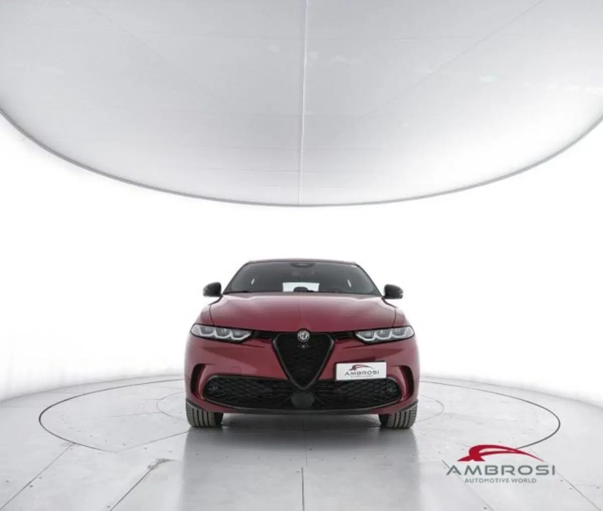 Alfa Romeo Tonale usata a Perugia (5)