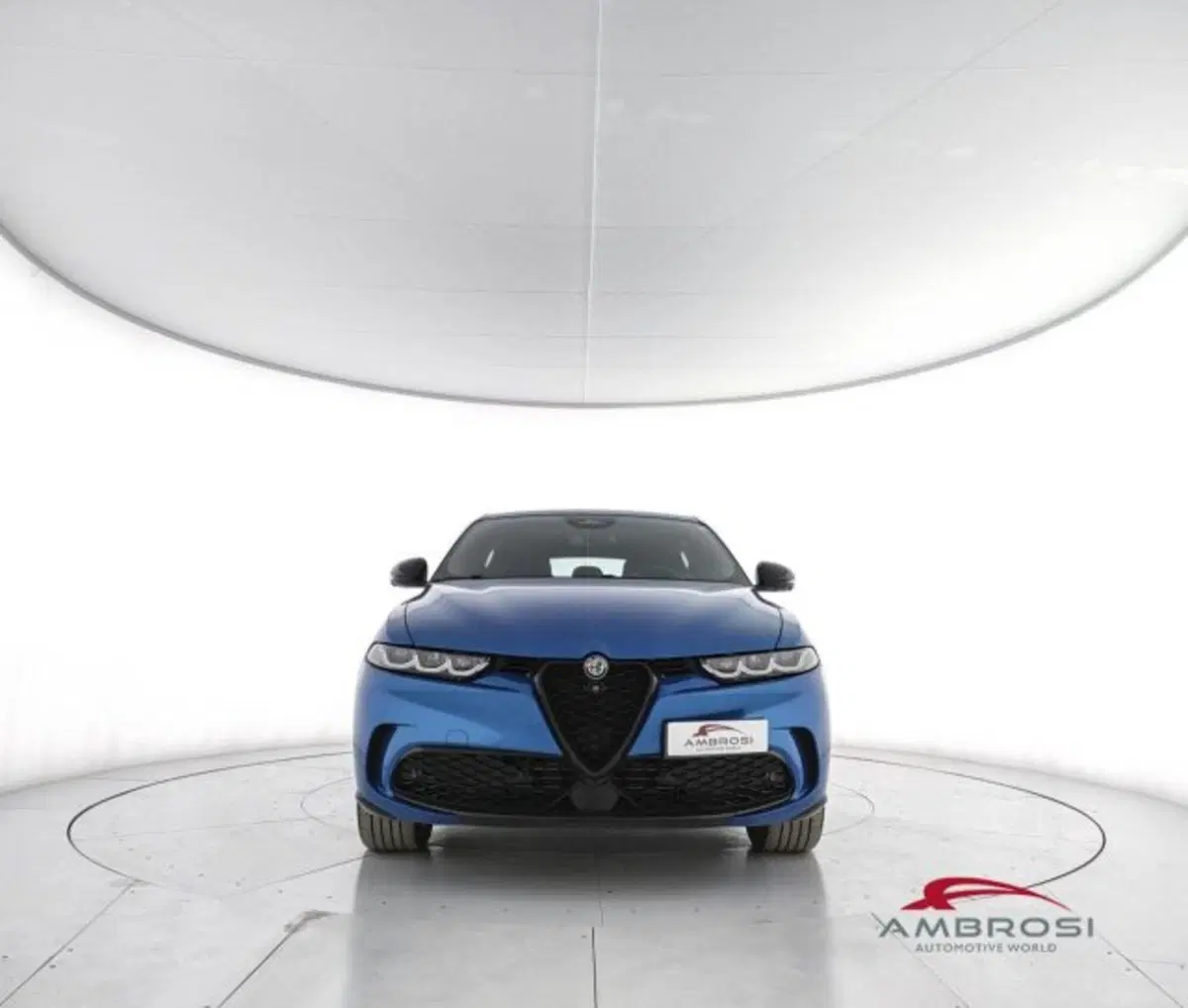 Alfa Romeo Tonale usata a Perugia (5)