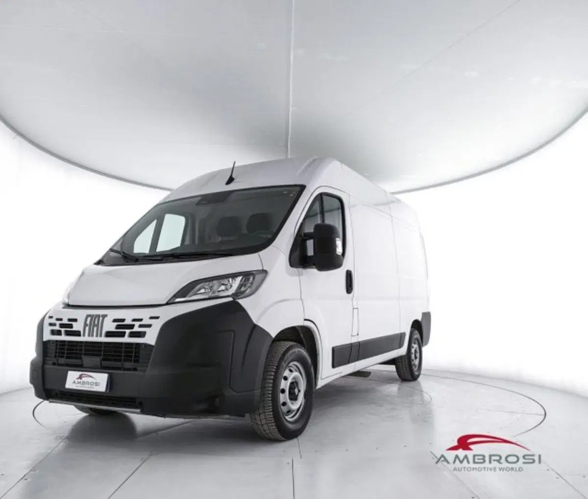 Fiat Ducato Furgone usata a Perugia