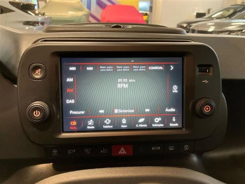 Fiat Panda Cross usata a Como (14)