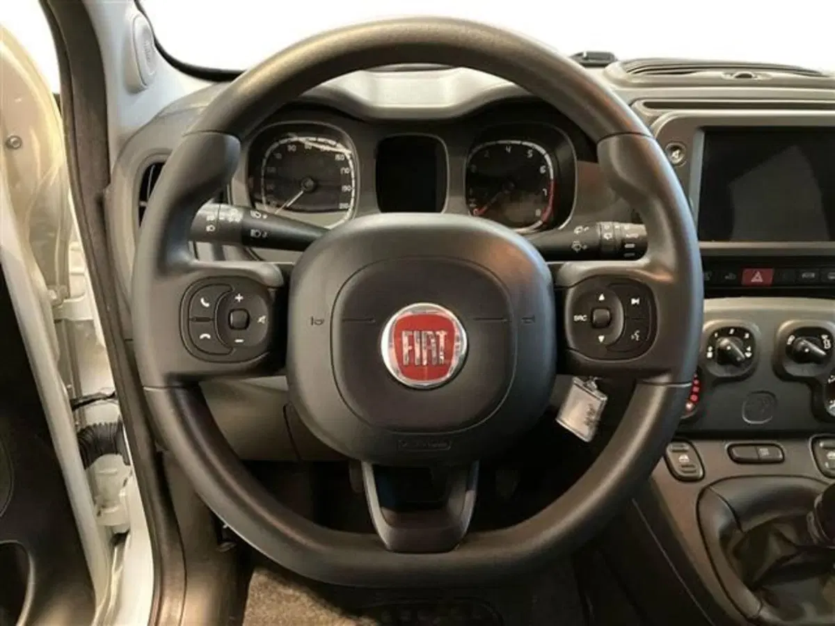 Fiat Panda Cross usata a Como (17)