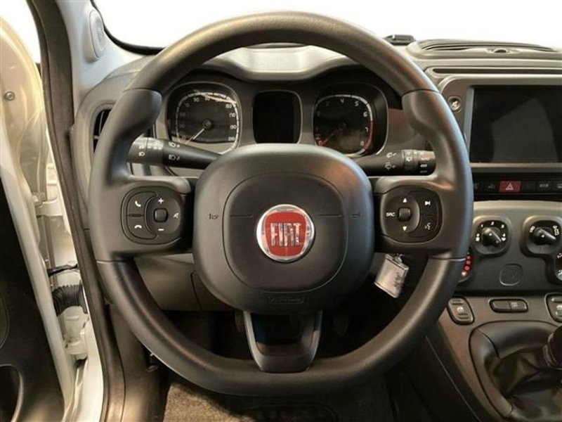 Fiat Panda Cross usata a Como (16)