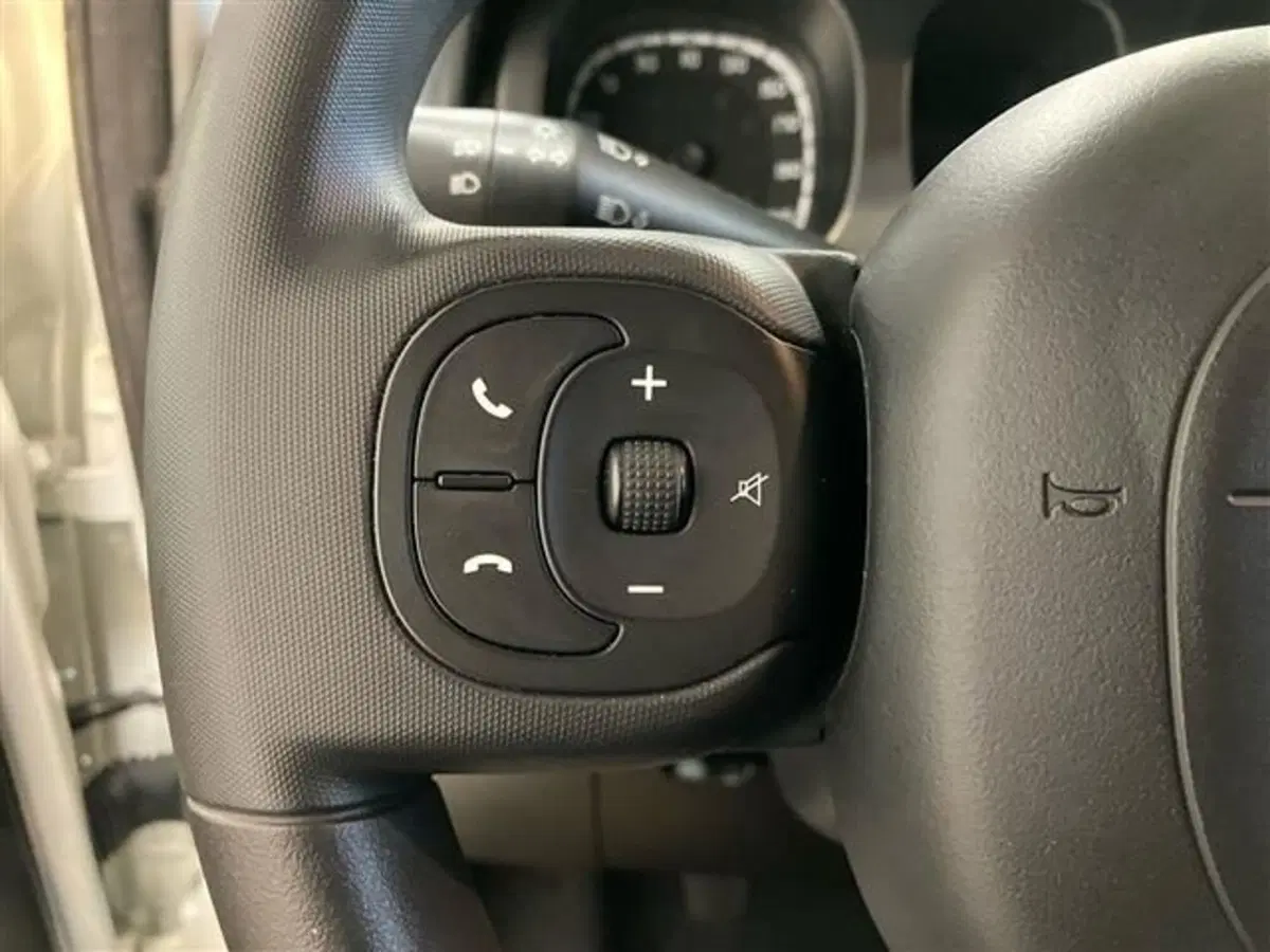 Fiat Panda Cross usata a Como (18)