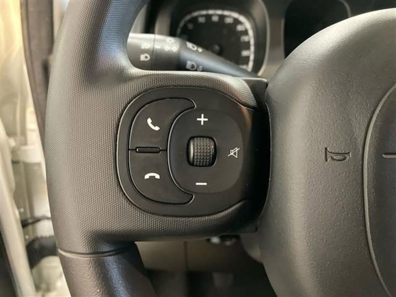 Fiat Panda Cross usata a Como (17)