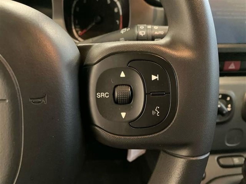 Fiat Panda Cross usata a Como (18)