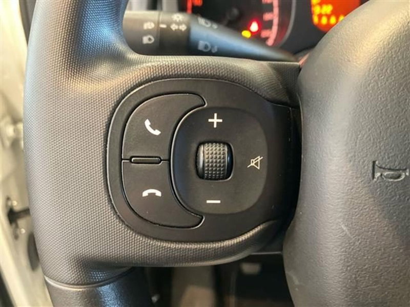 Fiat Panda Cross usata a Como (17)