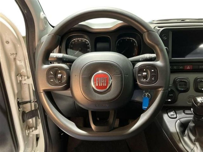 Fiat Panda Cross usata a Como (16)