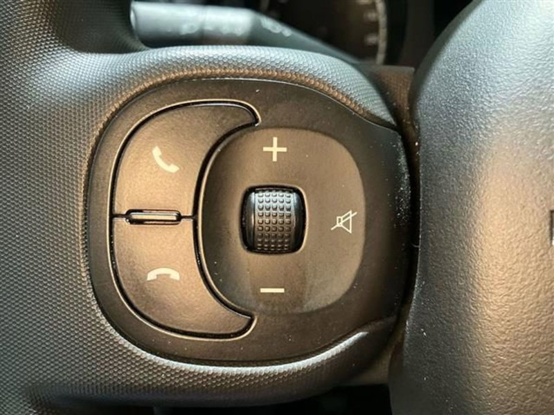 Fiat Panda Cross usata a Como (17)