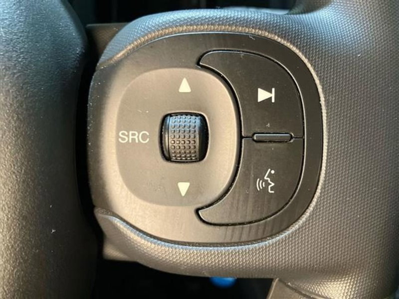 Fiat Panda Cross usata a Como (18)