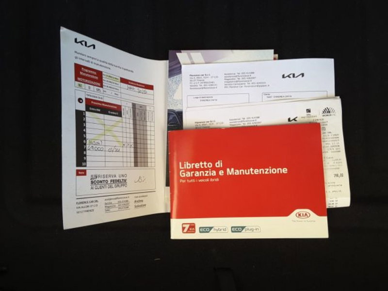 Kia Niro usata a Firenze (15)