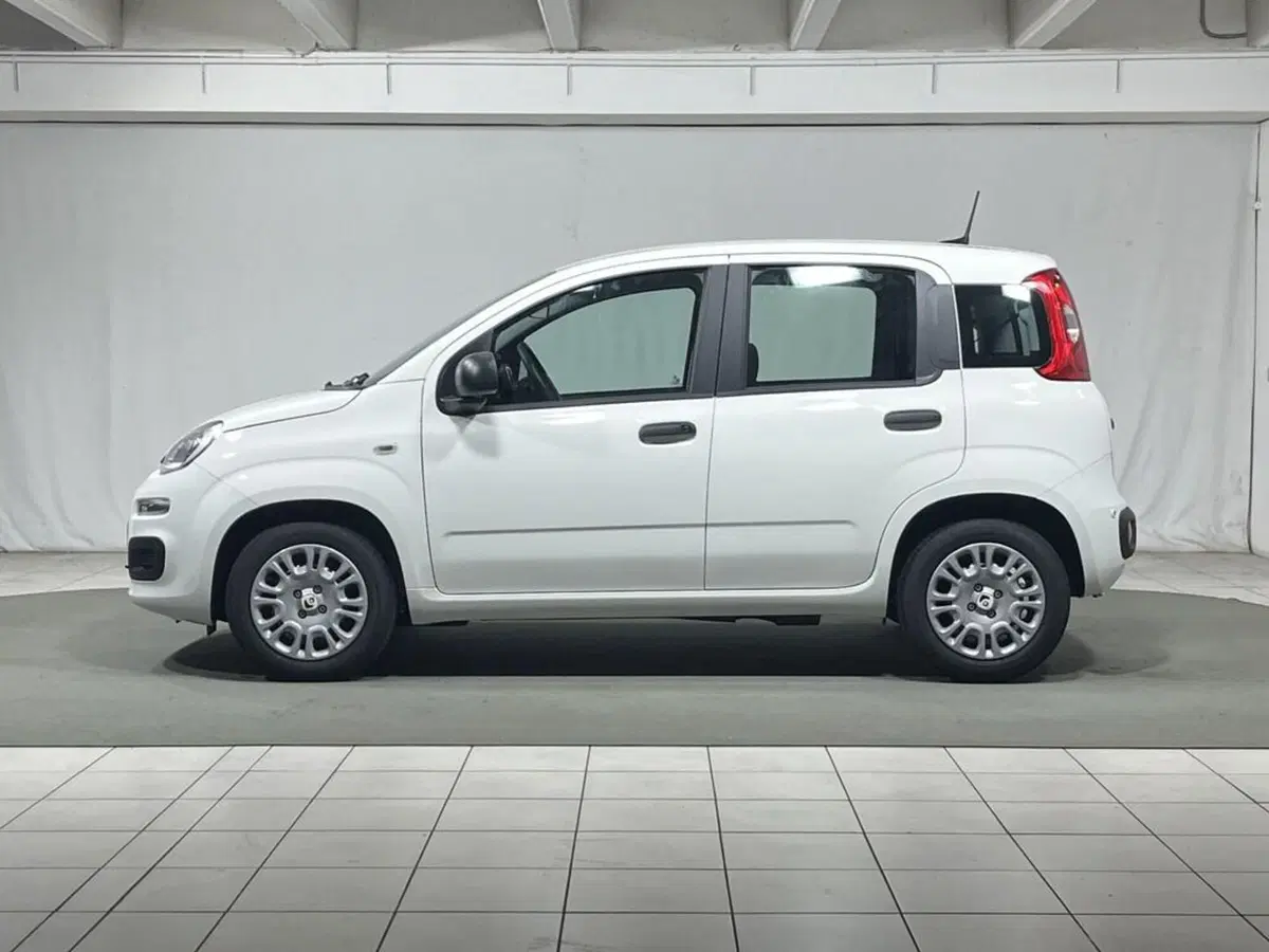 Fiat Pandina nuova a Sondrio (2)
