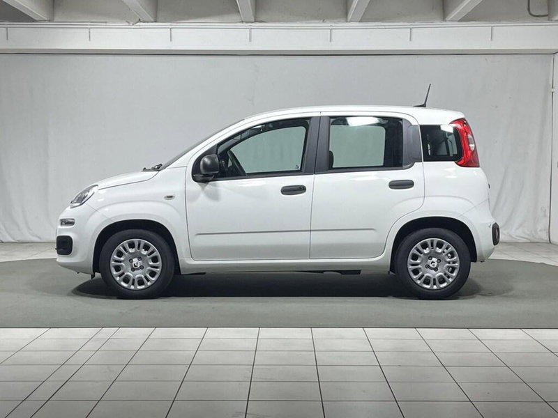 Fiat Pandina nuova a Sondrio (2)