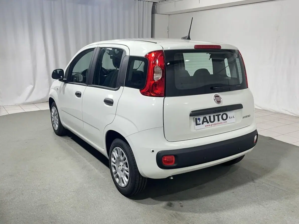 Fiat Pandina nuova a Sondrio (3)