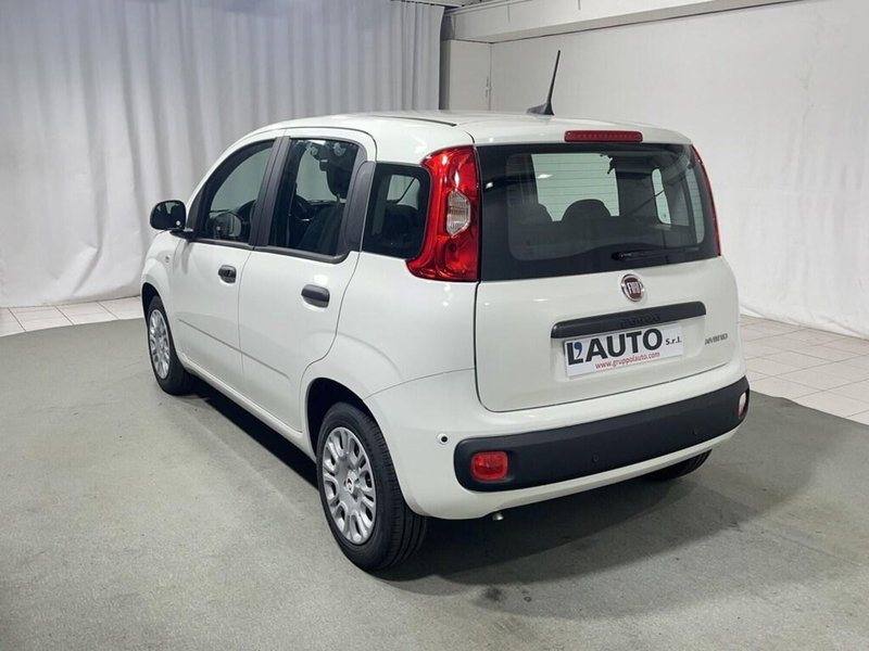 Fiat Pandina nuova a Sondrio (3)