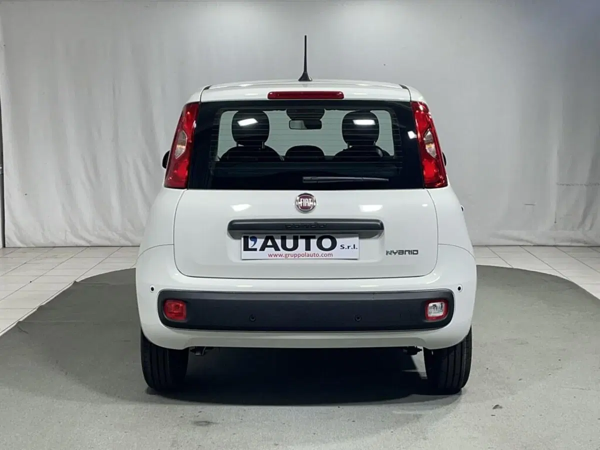 Fiat Pandina nuova a Sondrio (4)