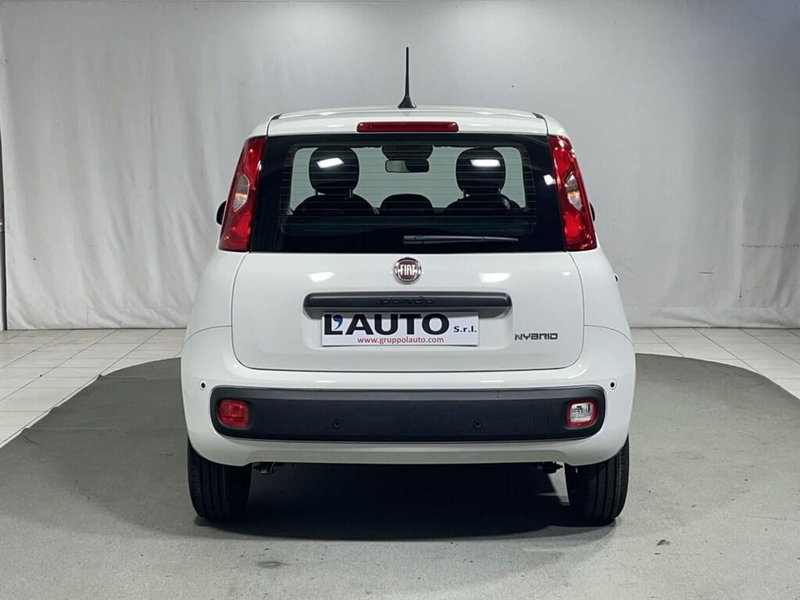 Fiat Pandina nuova a Sondrio (4)