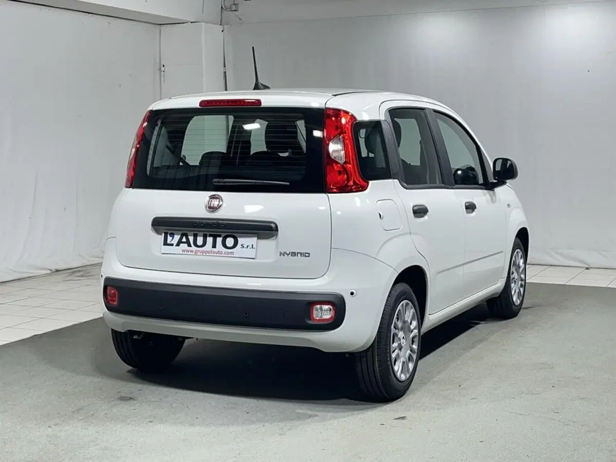 Fiat Pandina nuova a Sondrio (5)