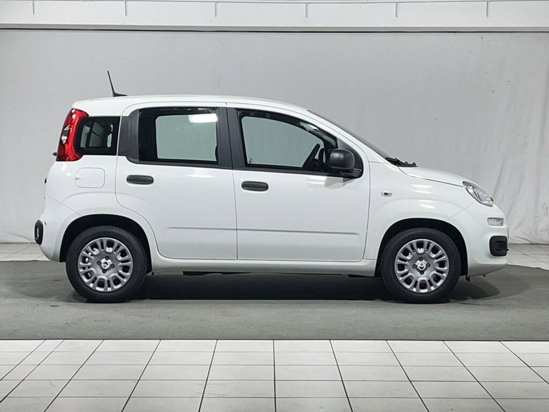 Fiat Pandina nuova a Sondrio (6)
