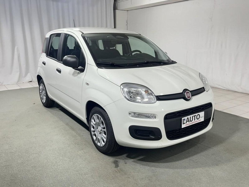 Fiat Pandina nuova a Sondrio (7)