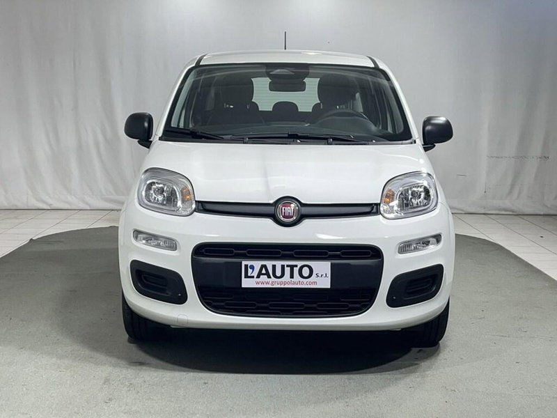 Fiat Pandina nuova a Sondrio (8)