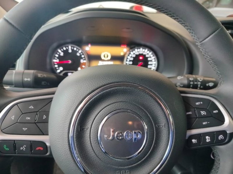 Jeep Renegade usata a Forlì-Cesena (18)