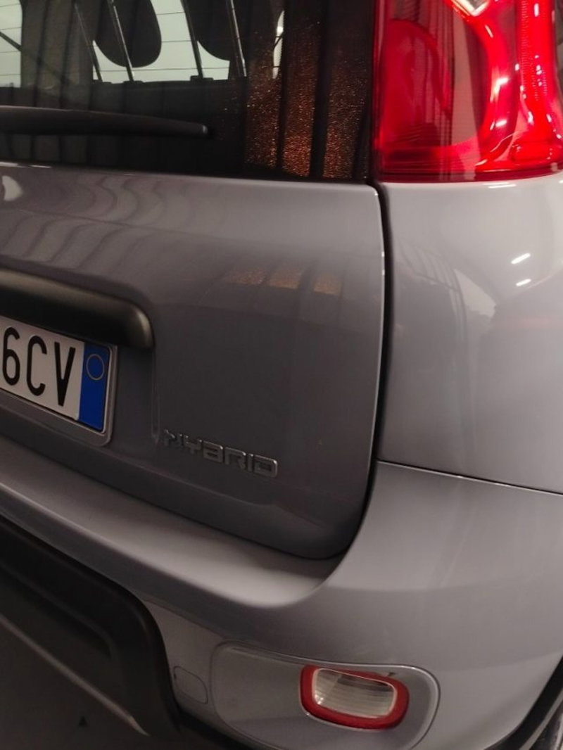 Fiat Panda usata a Forlì-Cesena (12)