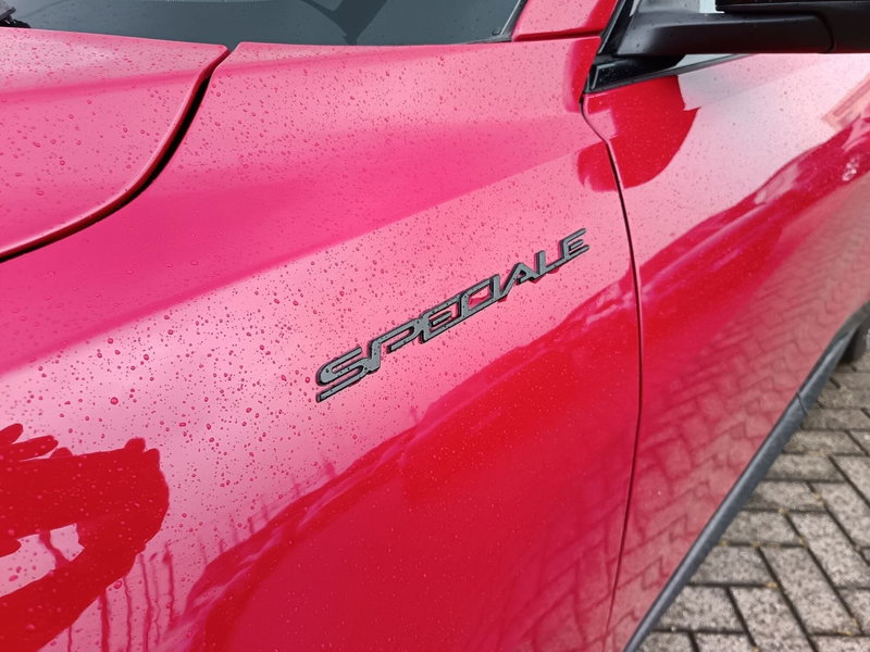 Alfa Romeo Tonale usata a Alessandria (10)