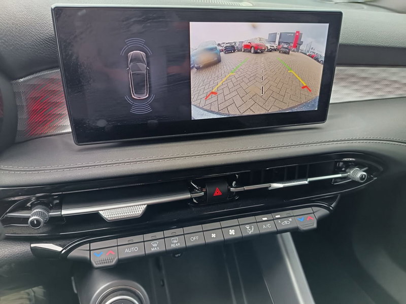 Alfa Romeo Tonale usata a Alessandria (20)