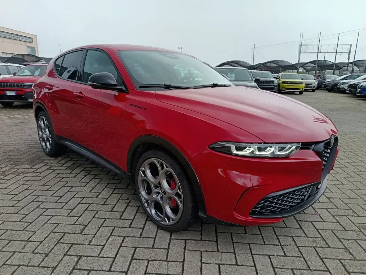 Alfa Romeo Tonale usata a Alessandria (3)