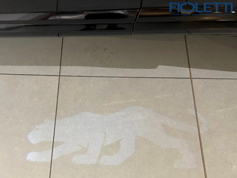 Ford Puma usata a Brescia (16)