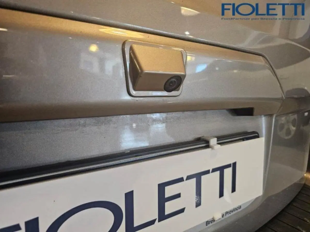 Ford Tourneo Custom usata a Brescia (15)